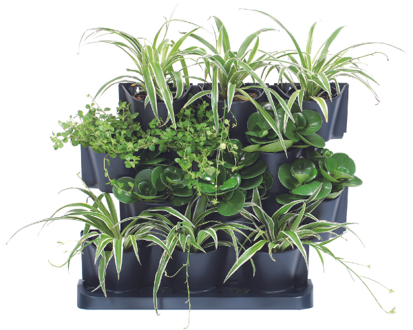 Zielona ściana doniczki 12 x 0,75 litra ogród werykalny Cascade Garden