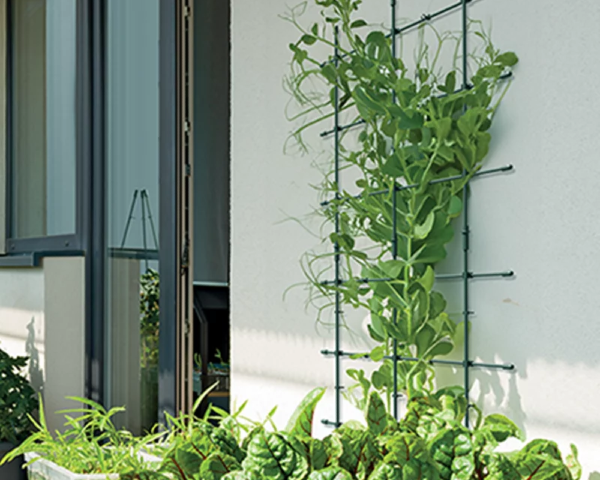 Wysoka podpora do roślin do domu i na balkon