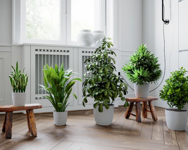 doniczki ozdobne form plastic turo prezentacja w domu