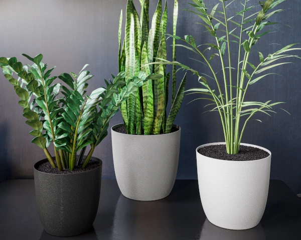 form plastic turo doniczki dekoracyjne arazacja wewnatrz