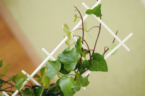 Drabinka do kwiatów podpórka biała 56 cm Drab