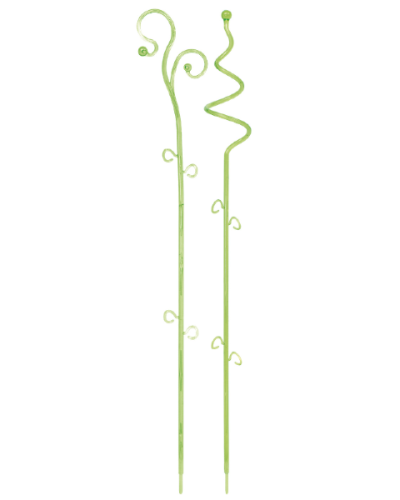 Podpórka do storczyka zielona Decor Orchid Sticks
