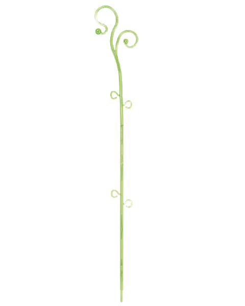 Podpórka do storczyków zielona Decor Orchid Sticks