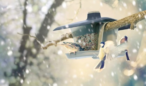 karmnik dla ptaków na gałąź podwójny szary