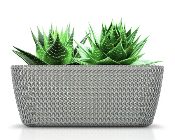 doniczka dluga prosperplast spolofy case prezentacja z roslina