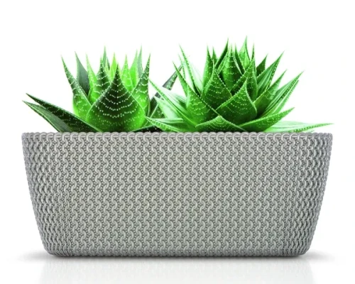 prosperplast doniczka dluga splofy case aranzacja z roslina