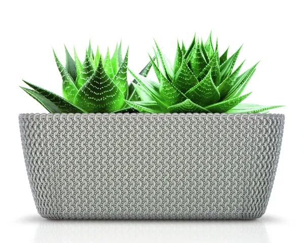 prosperplast doniczka dluga splofy case aranzacja z roslina