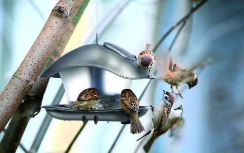 Karmnik do karmienia wróbli zimą