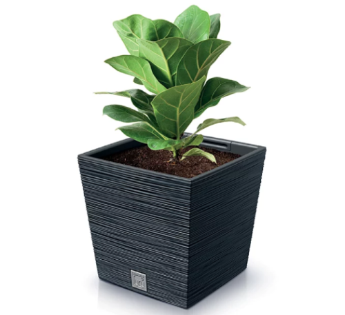 Doniczka kwadratowa z wkladem  19 l  Furu Square aranzacja z roslina