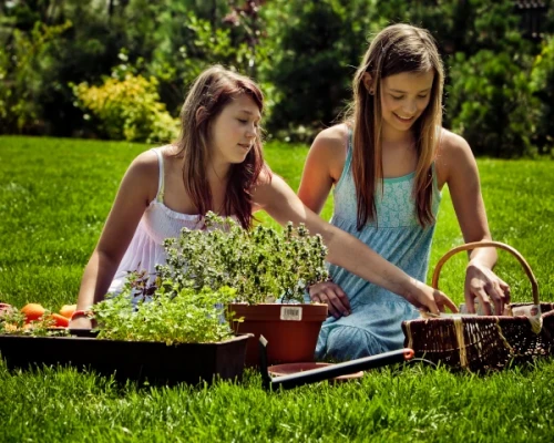 widelki-reczne-28-cm-ramp-aranzacja