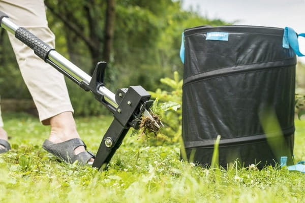 Wyrywacz chwastów regulowany trzonek Ideal