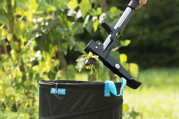 wyrywacz chwastów zbliżenie