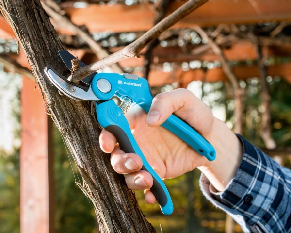 sekator-kowadelkowy-ideal-Cellfast-prezentacja