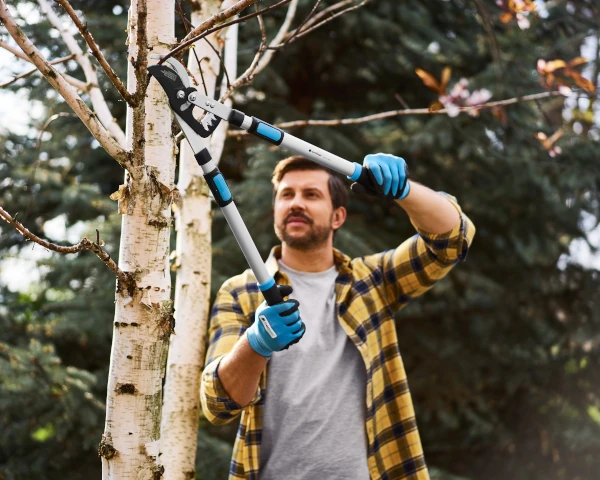 dwuręczny sekator teleskopowy z przekładnią Cellpro Cellfast - aranżacja