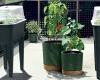 doniczka z podporka Home Garden aranzacja na balkonie