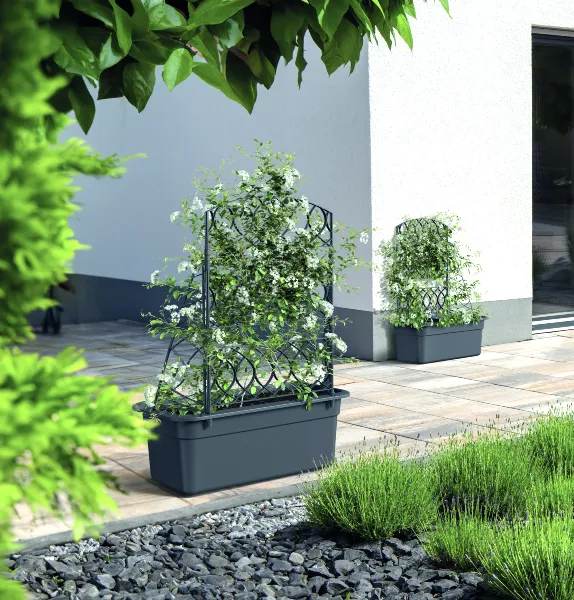Donica podluzna z pergola  Bloma aranzacja w ogrodzie