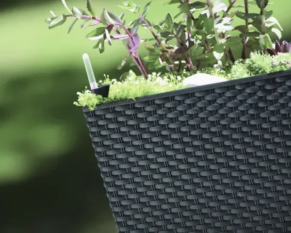 doniczka podluzna z efektem rattanu prosperplast rato case aranzacja w ogrodzie