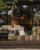 krzesło z podlokietnikami Brene FERNE restauracja.webp