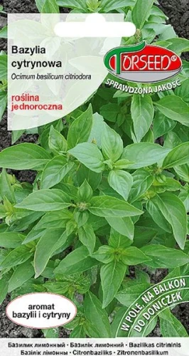 bazylia-cytrynowa