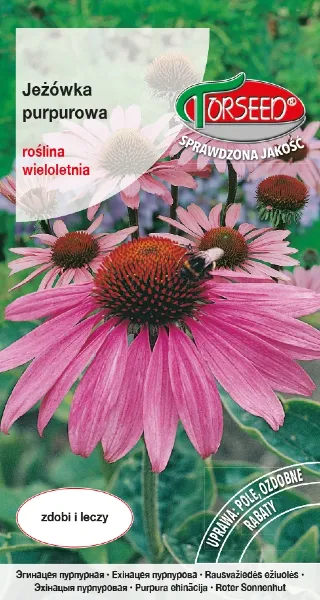 Jezówka purpurowa nasiona.webp