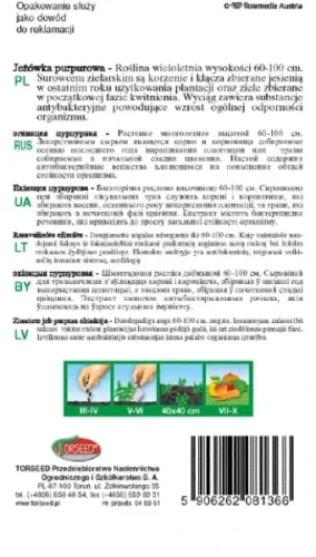 Jeżówka purpurowa tył.webp