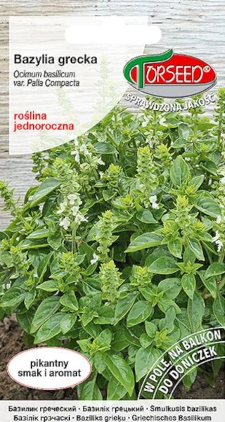 bazylia-grecka-nasiona-torseed