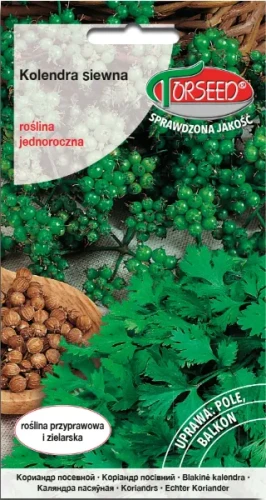 Kolendra siewna nasiona Coriandrum sativum Torseed