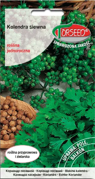 Kolendra siewna nasiona Coriandrum sativum Torseed