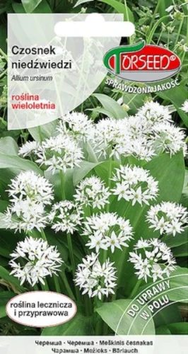 czosnek-niedźwiedzi-nasiona-torseed