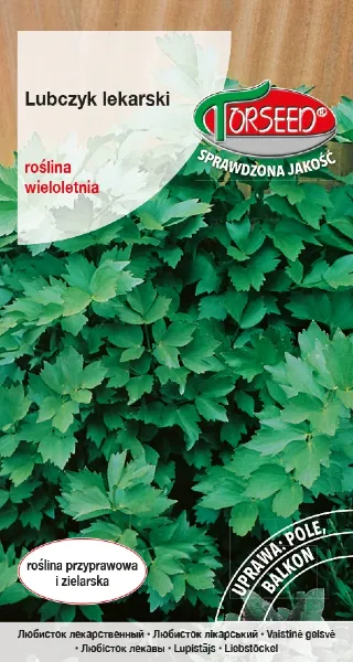 Lubczyk lekarski nasiona Levisticum officinale Torseed