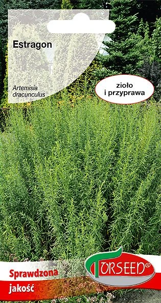 estragon-nasiona-torseed