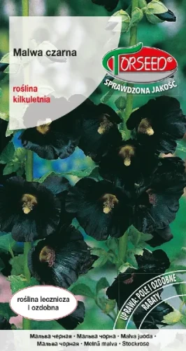 malwa czarna nasiona torseed.webp