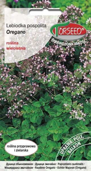 Oregano Lebiodka pospolita nasiona Torseed