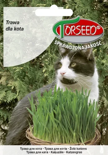 Trawa dla kota nasiona Torseed
