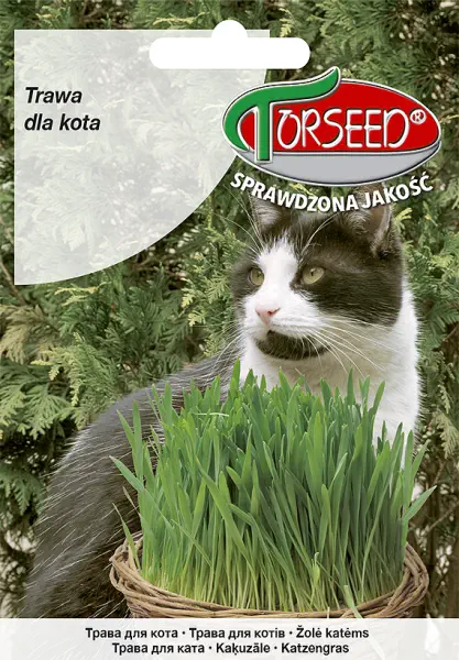 Trawa dla kota nasiona Torseed
