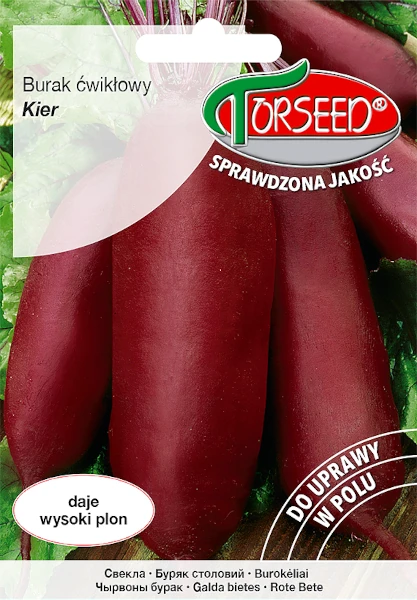 burak-cwiklowy-kier-nasiona-torseed