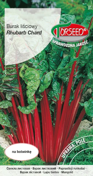 burak lisciowy nasiona Torseed