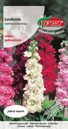 Lewkonia letnia Matthiola incana annua Excelsior - mieszanka kolorów