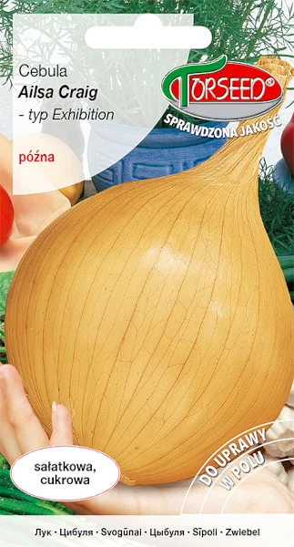 cebula-nasiona-torseed