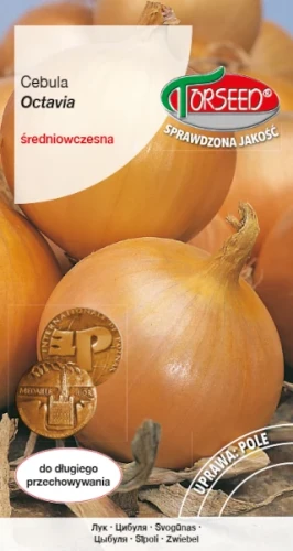 cebula-octavia-nasiona-torseed