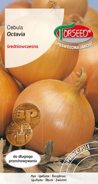 cebula-octavia-nasiona-torseed