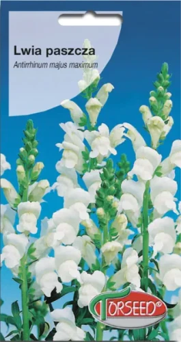 Lwia paszcza biała nasiona kwiatów Torseed