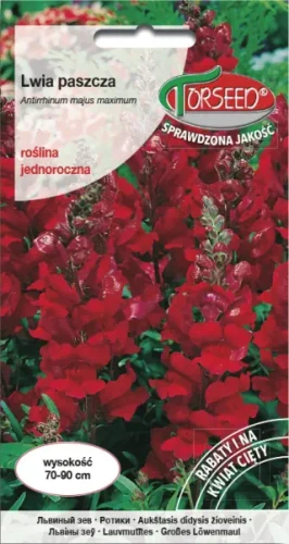 Lwia paszcza ciemnokarminowa krwista czerwień nasiona kwiatów Torseed