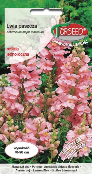 Lwia paszcza różowa nasiona kwiatów Torseed
