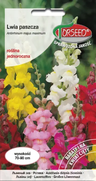 Lwia paszcza mix różnych kolorów nasiona kwiatów Torseed