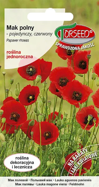 Mak polny pojedynczy czerwony nasiona kwiatów Torseed