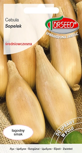 cebula-sredniowczesna-sopelek-nasiona-torseed