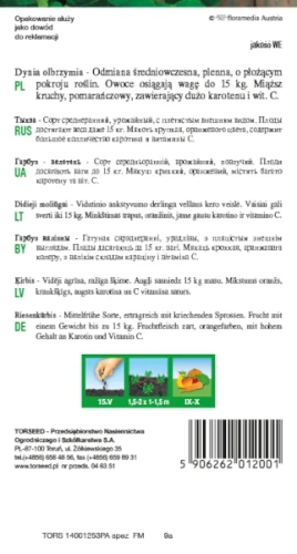 dynia-olbrzymia-bambino-nasiona-torseed-rewers