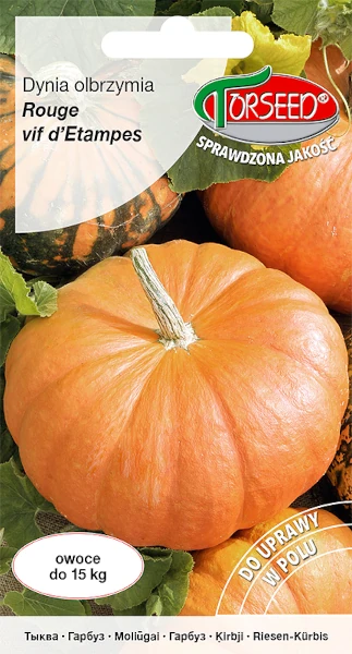 dynia-olbrzymia-nasiona-torseed