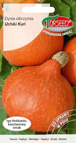 dynia-hokkaido-nasiona-torseed